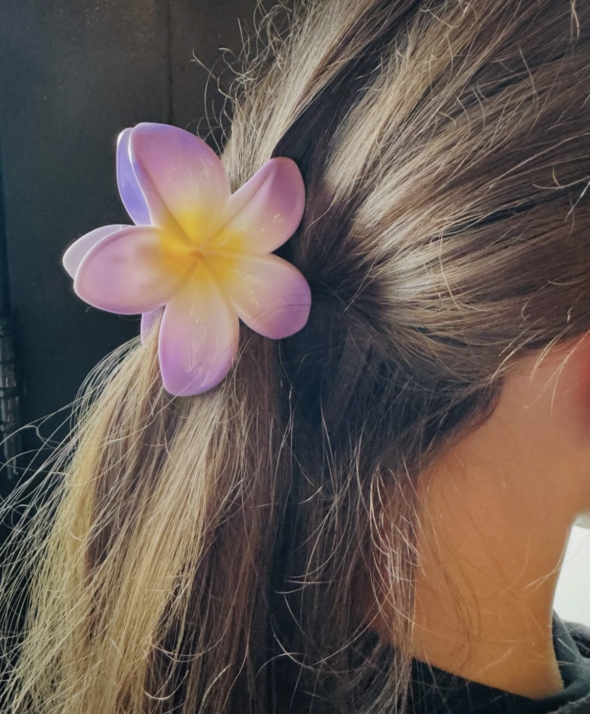 Haarklem paarse bloem, zijn meerdere kleuren van