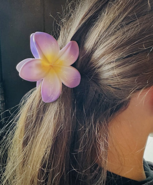 Haarklem paarse bloem, zijn meerdere kleuren van